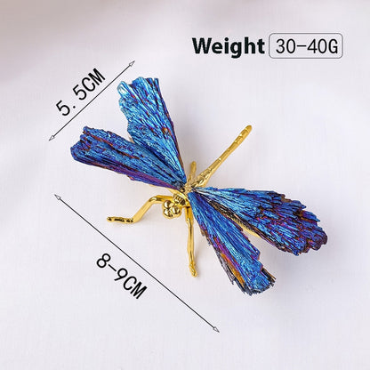 A close-up shot showcases the geometric texture of the black tourmaline wings and the delicate feel of the blue feathers