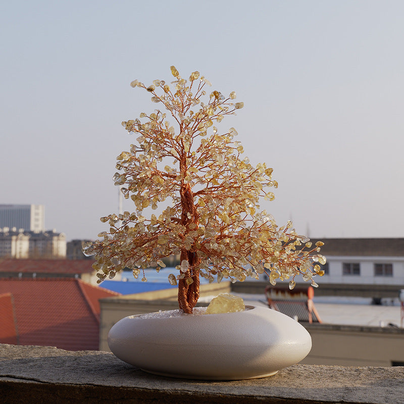 The crystal tree placed on the bookshelf, standing side by side with personal growth and business books, symbolizes the common growth of wisdom and wealth.
