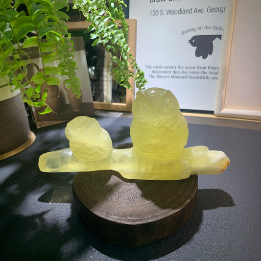 Natural citrine owl carving for wealth and wisdom