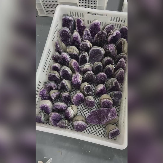 "Energy Temple" Uruguayan Amethyst Cluster In-depth Application Guide Video: From the shock of unboxing, 360-degree mineral detail appreciation, to the teaching of building three core energy scenarios - including the layout of whole-house energy purification, personal deep meditation guidance, and crystal charging and maintenance ceremony, it comprehensively analyzes its powerful effects as a top energy base station.