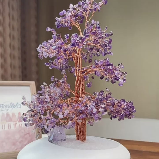 From setting goals and activating energy on your morning desk, to purifying and arranging energy in your home space, and then to how to use it as a practical tool for the Law of Attraction to visualize your vision of wealth and success.