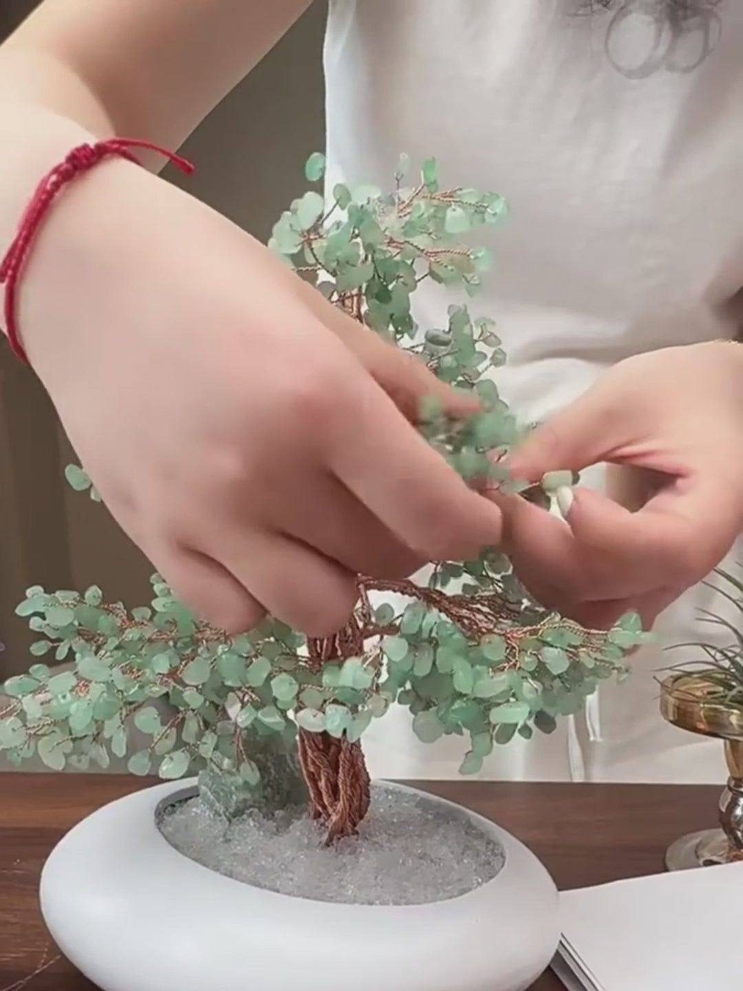 From setting goals and activating energy on your morning desk, to purifying and arranging energy in your home space, and then to how to use it as a practical tool for the Law of Attraction to visualize your vision of wealth and success.