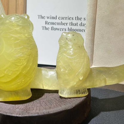 Spiritual gift owl crystal for collectors