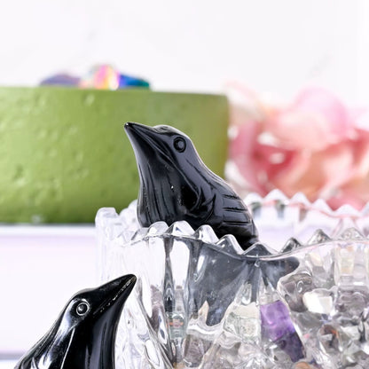 Spiritual raven gift for magic practitioners